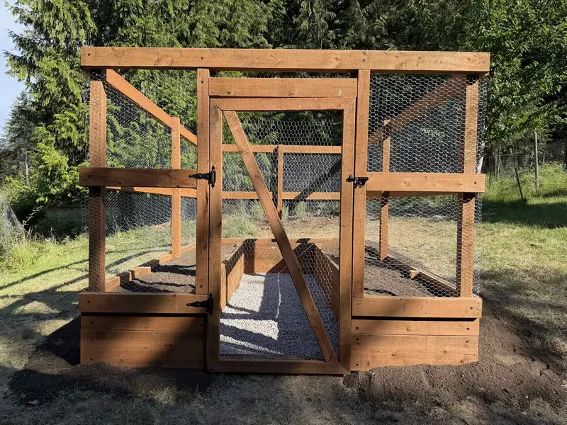 Custom-built wood-frame garden and chicken coop enclosure with wire mesh siding and a hinged gate